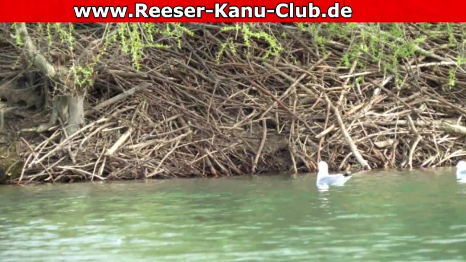 RKC - Geführte naturkundliche Rundfahrt Diersforther Waldsee